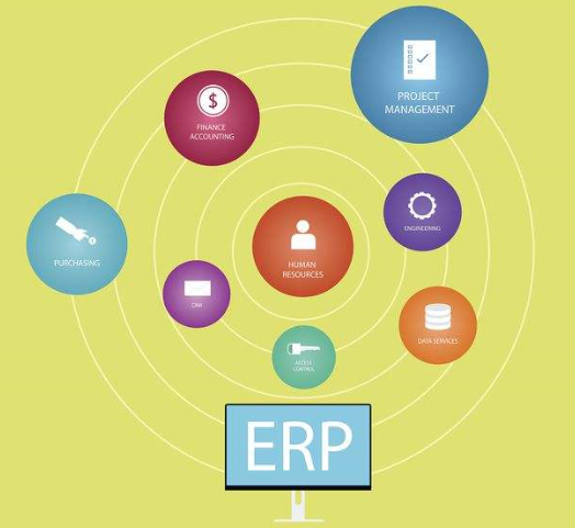 服装ERP管理软件中推动式实施团队有哪些角色